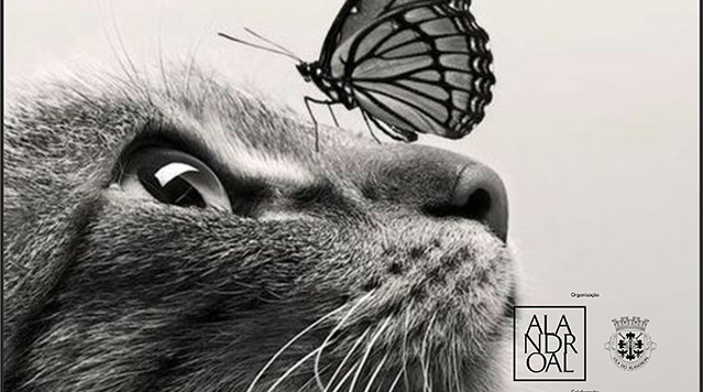 Dia Mundial do Animal
