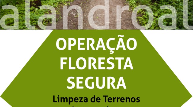 Limpeza de Terrenos