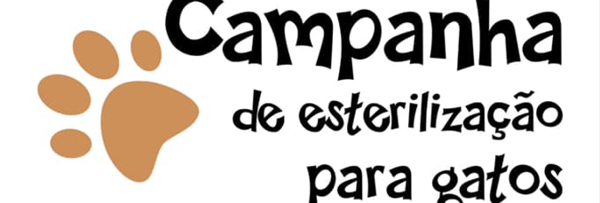 Campanha de esterilização para gatos