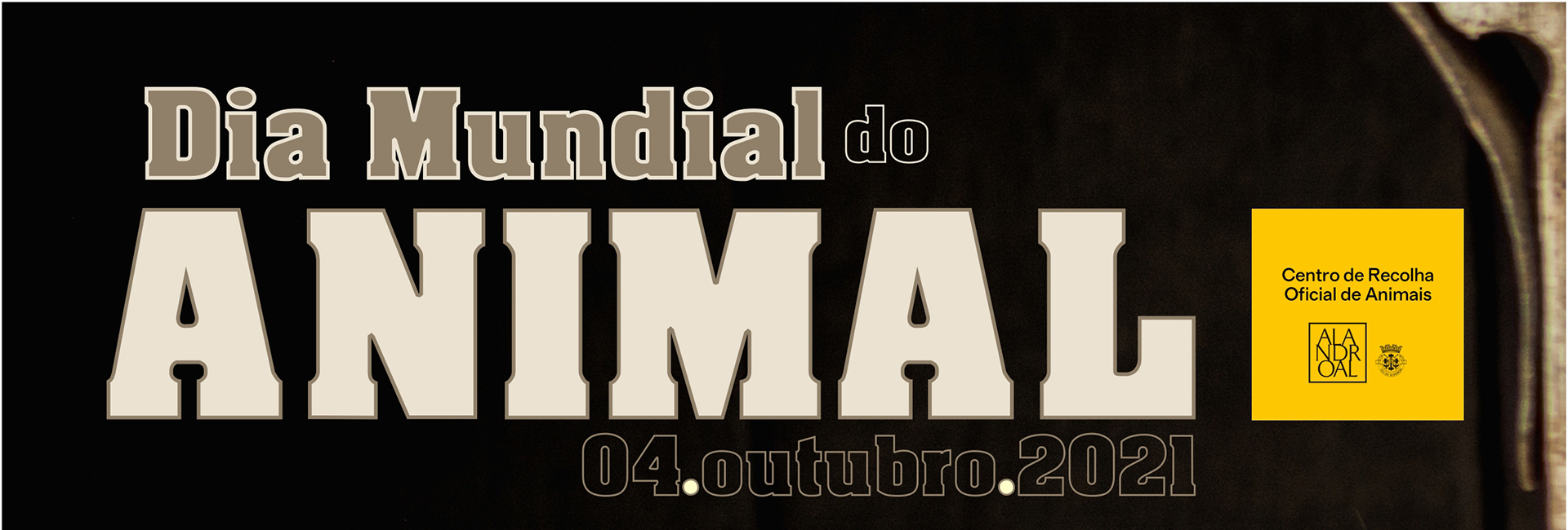 Dia Mundial do Animal