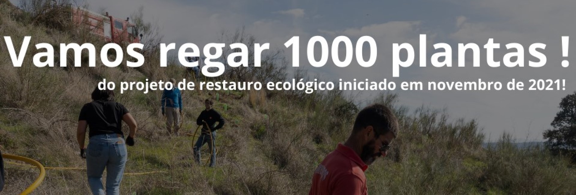 Apoio à Transição Climática (Re)arborização ilhas-sombra em meio urbano