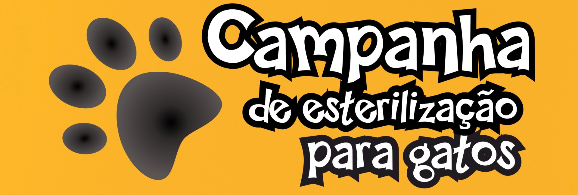 Campanha de esterilização para gatos