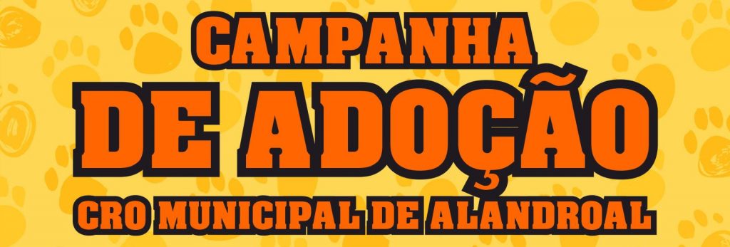 CAMPANHA.ADOÇÃO-titulo