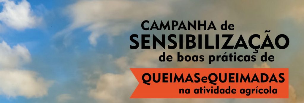 Queimas.Queimadas2022.titulo