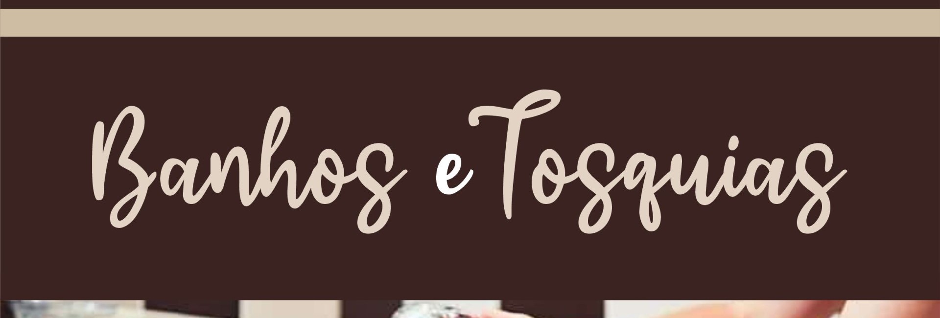 Banhos e tosquias