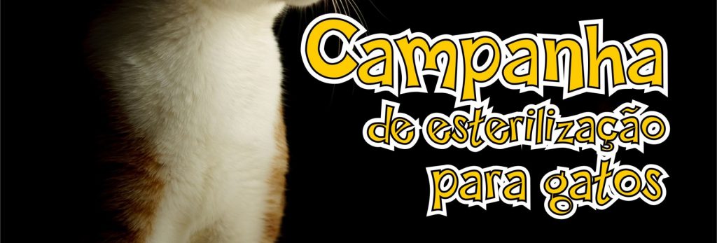 Esterilização.Gatos.2023-titulo