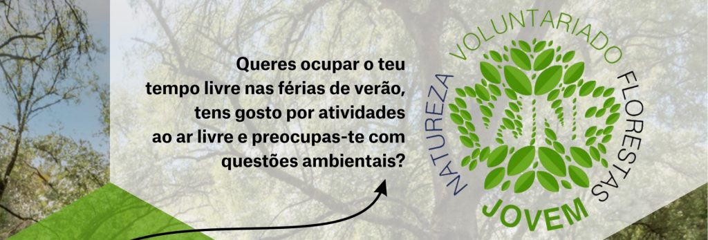 Programa.Voluntariado-titulo