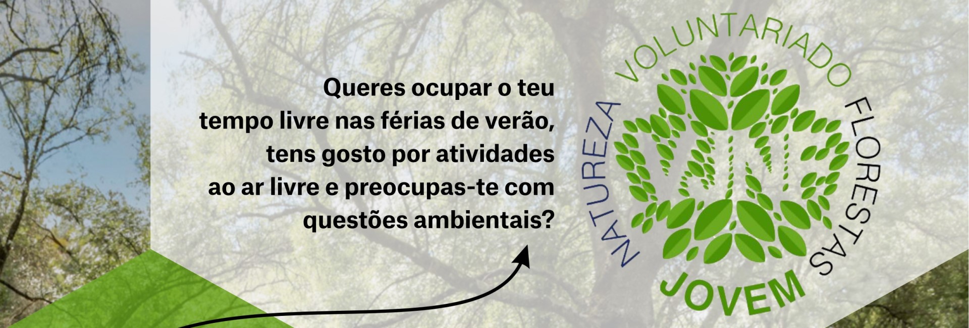 Voluntariado Jovem para a Natureza e Florestas