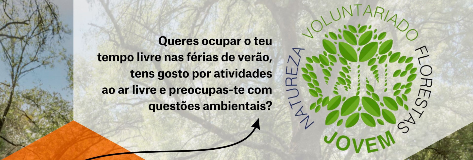 Voluntariado Jovem para a Natureza e Florestas