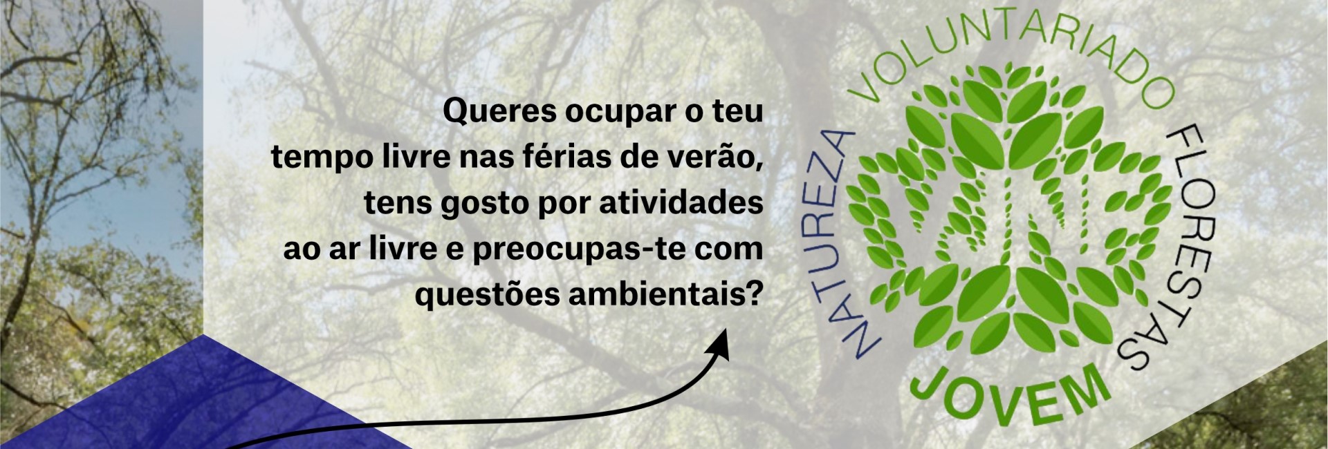 Voluntariado Jovem para a Natureza e Florestas