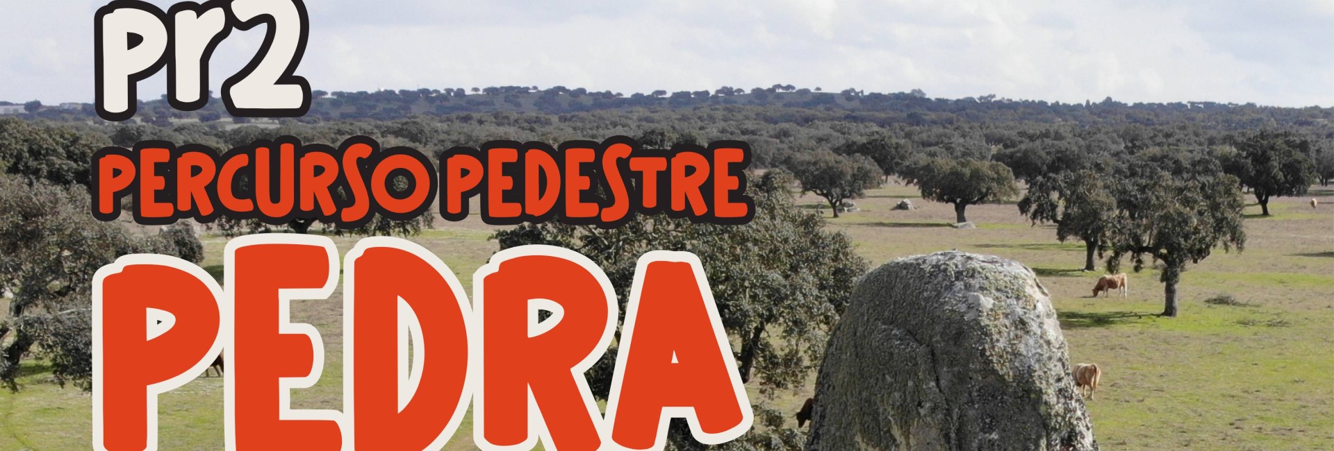 Caminhada ao PR2 Percurso Pedestre – Pedra Alçada
