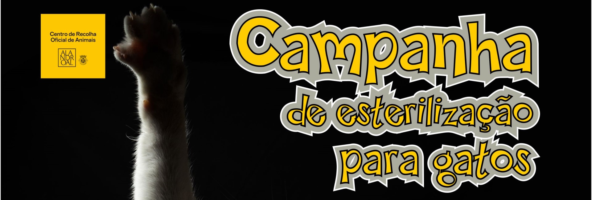Campanha de Esterilização para Gatos