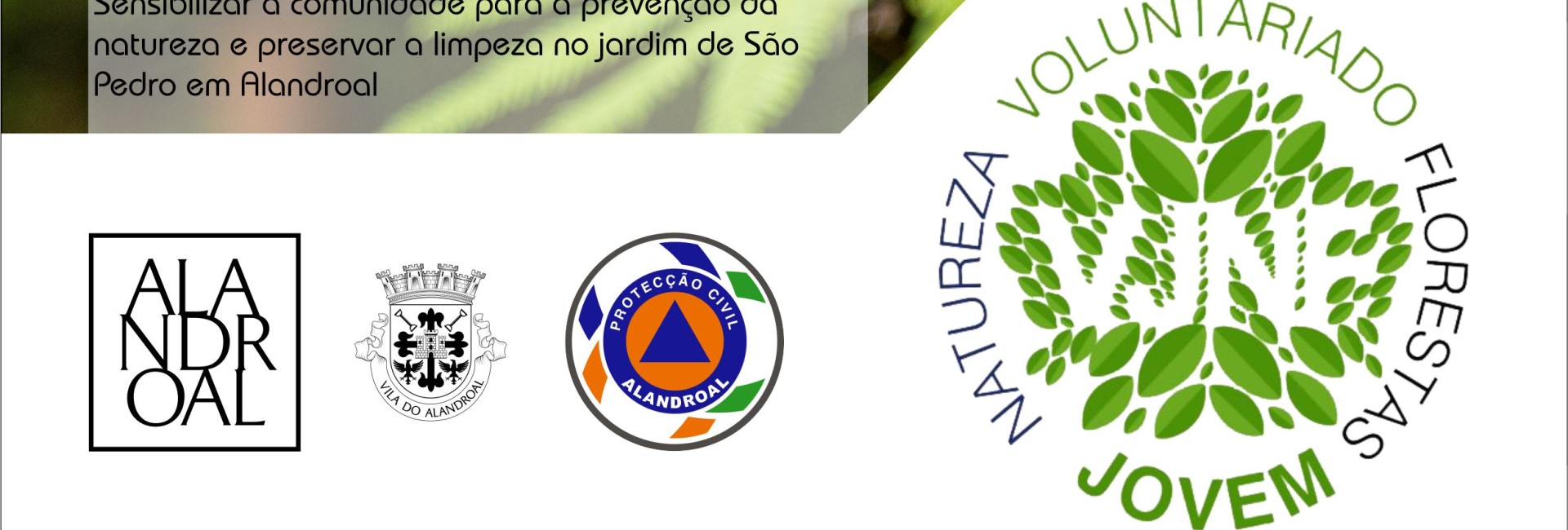 Programa Voluntariado Jovem Florestas