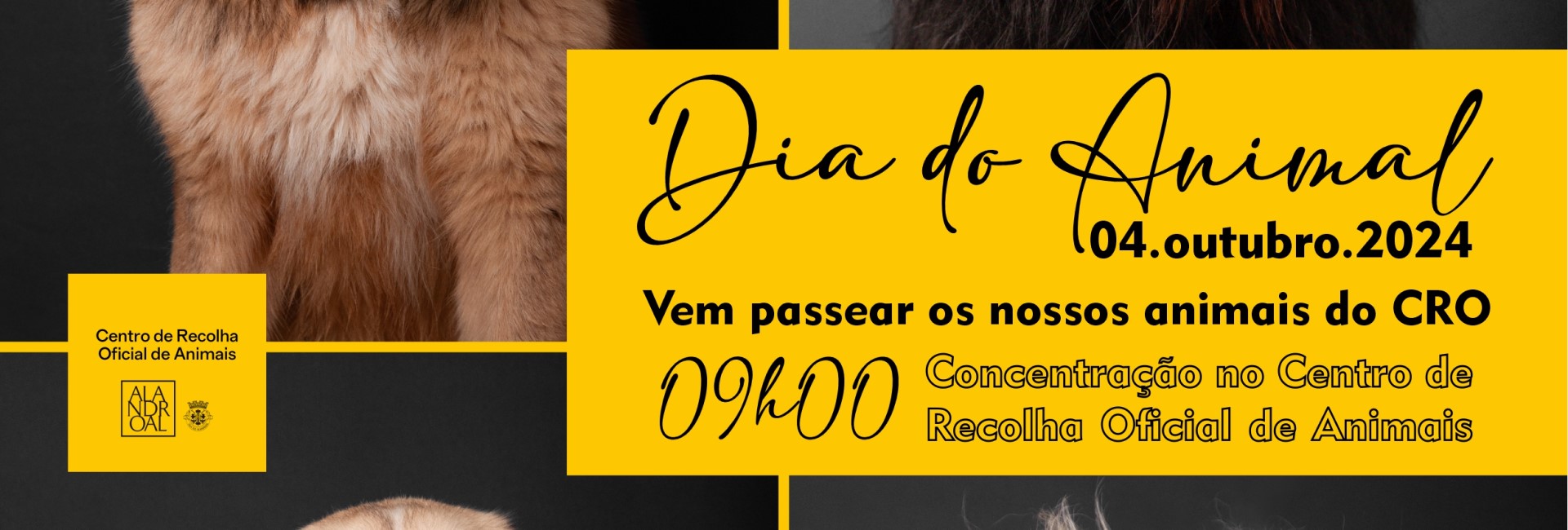 Dia do Animal