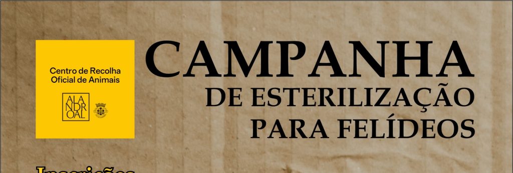 Esterilização.hesder