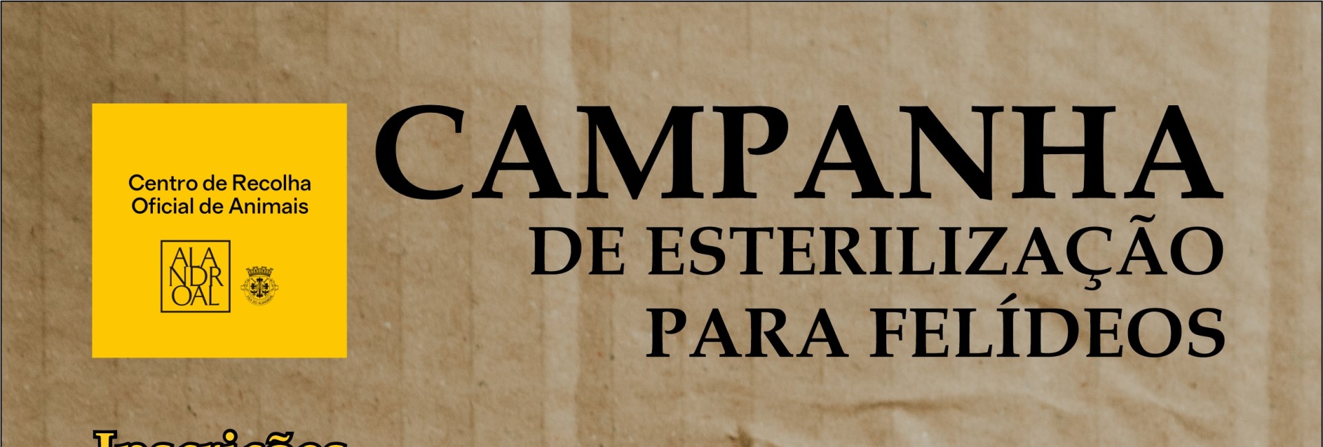 Campanha de Esterilização para felídeos